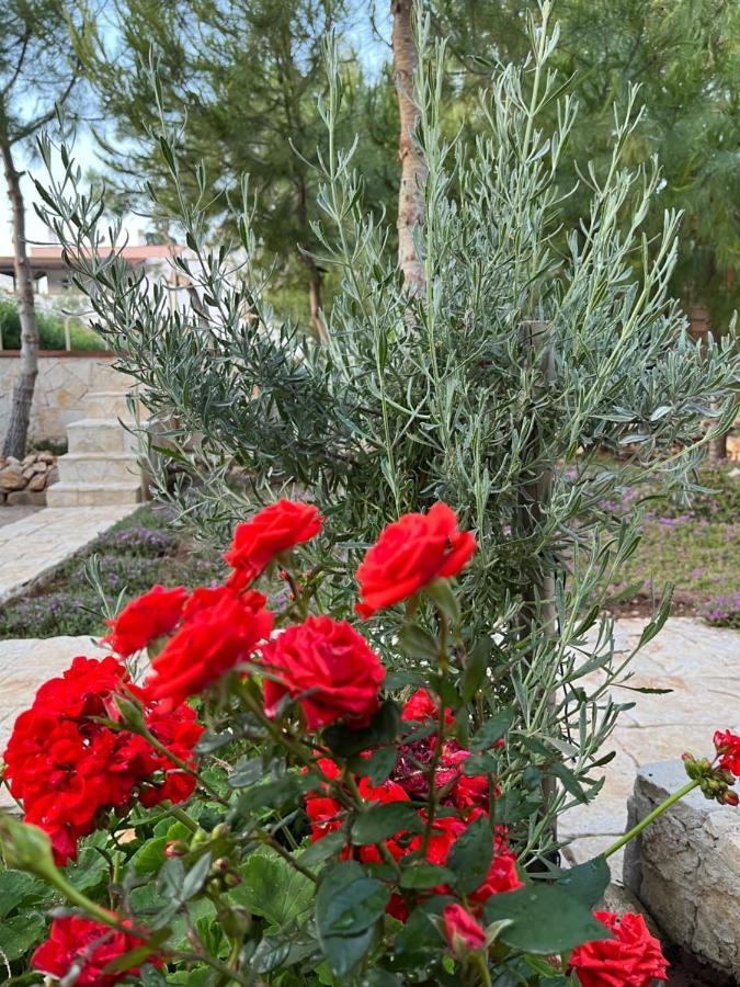 Krasi Bed & Breakfast Marina di Mancaversa