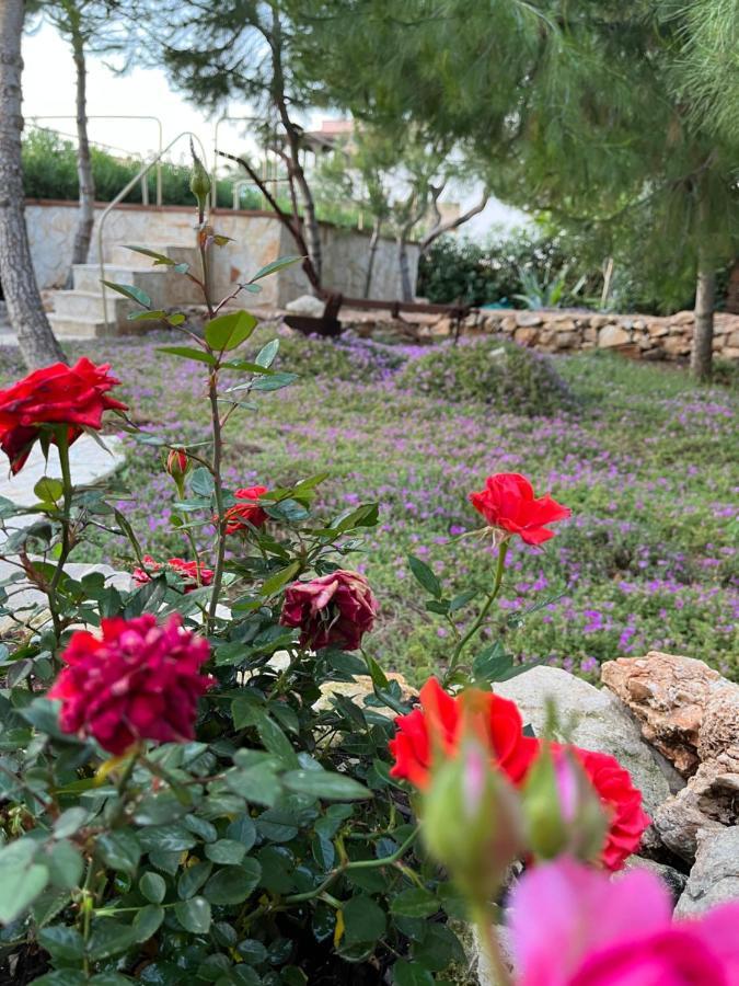 Krasi Bed & Breakfast